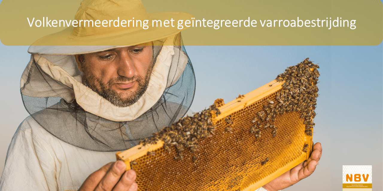 02.11.23 Volkenvermeerdering