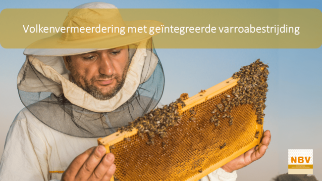 02.11.23 Volkenvermeerdering