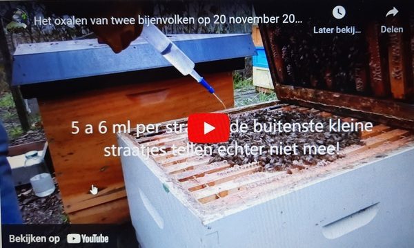 Oxalen staat bij de meeste imkers op de agenda in de maand december. Lees in dit bericht nog eens alle ins en outs.