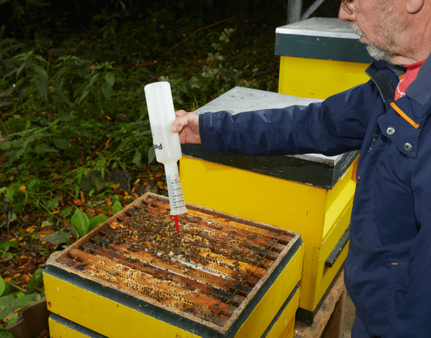 We zijn benieuwd naar de statusvan je bijen. Doe mee aan de peiling.