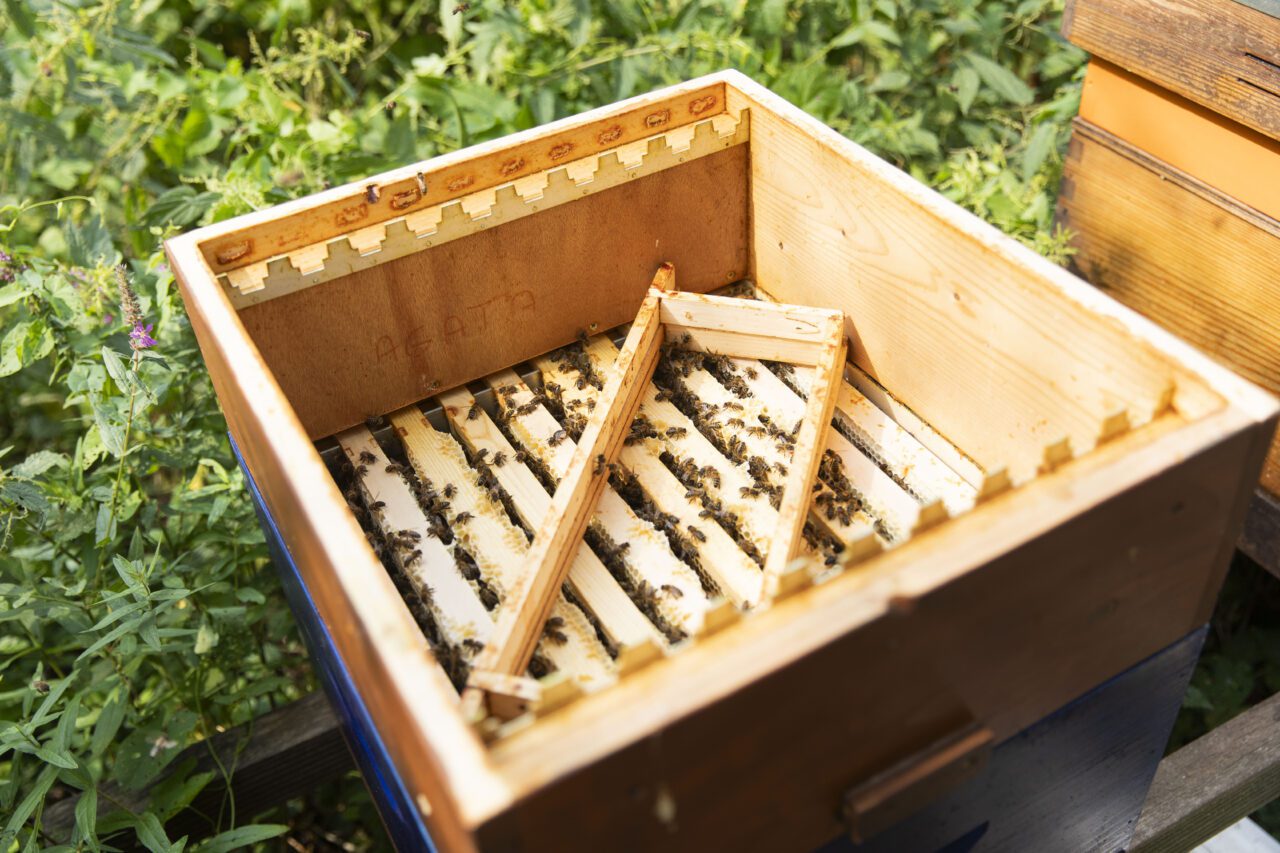 Lees hier het volledige bericht.