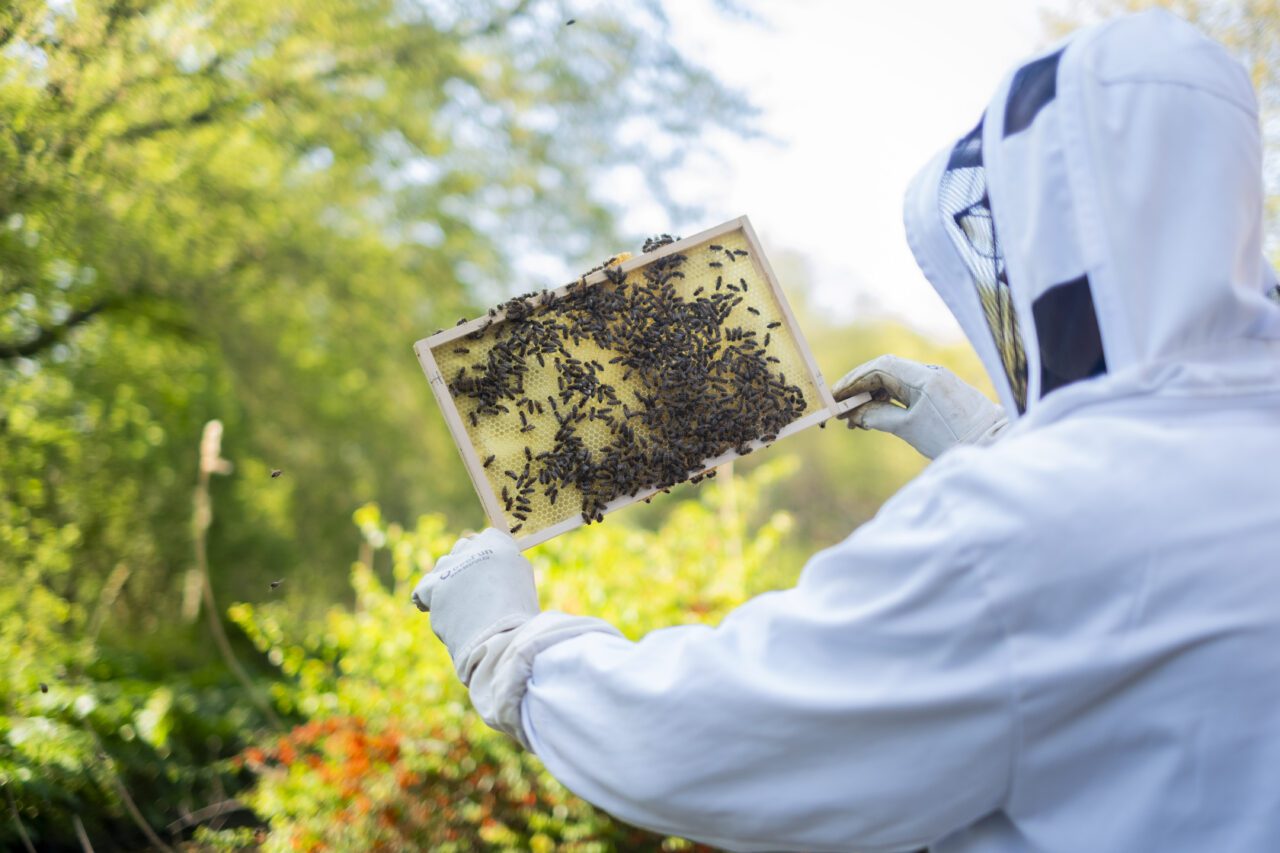 Lees hier het volledige bericht.