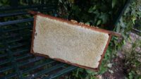 img-20160519-wa0006-1 