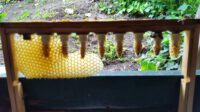 img-20170519-wa0004-1 