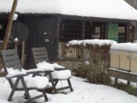 dsc02797 