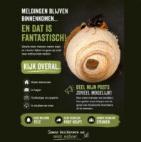 Kijk Overal 