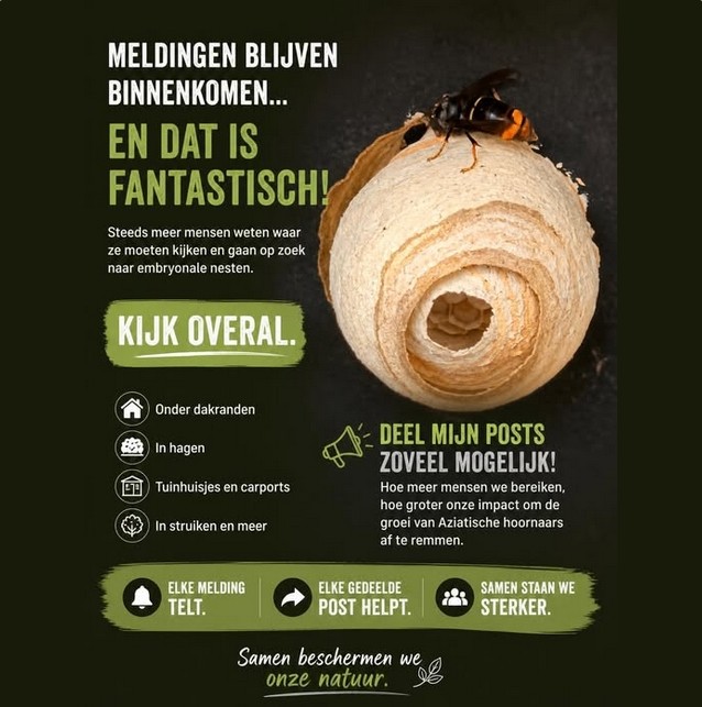 Kijk Overal