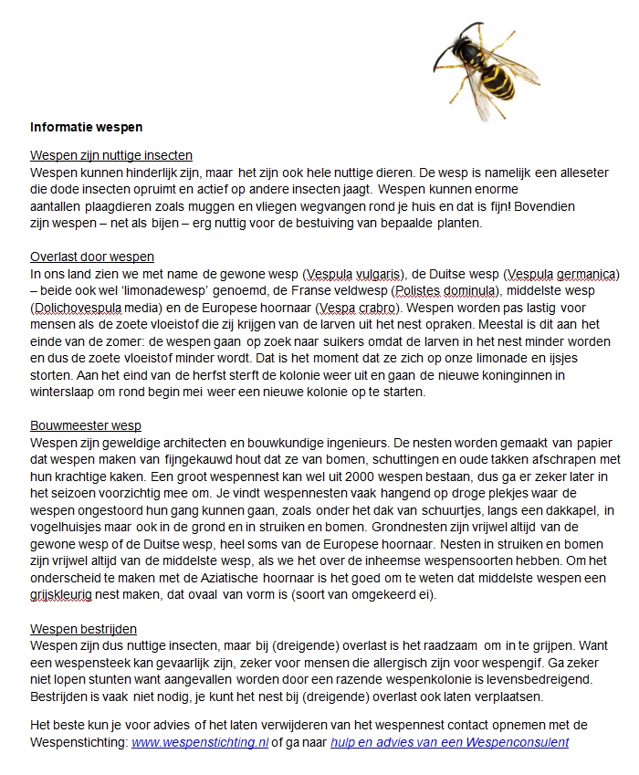 Informatie wespen