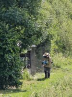 f5fe67df-df70-4cc3-ad5f-178b5f9e4072 