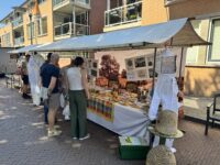 IMG_3482 