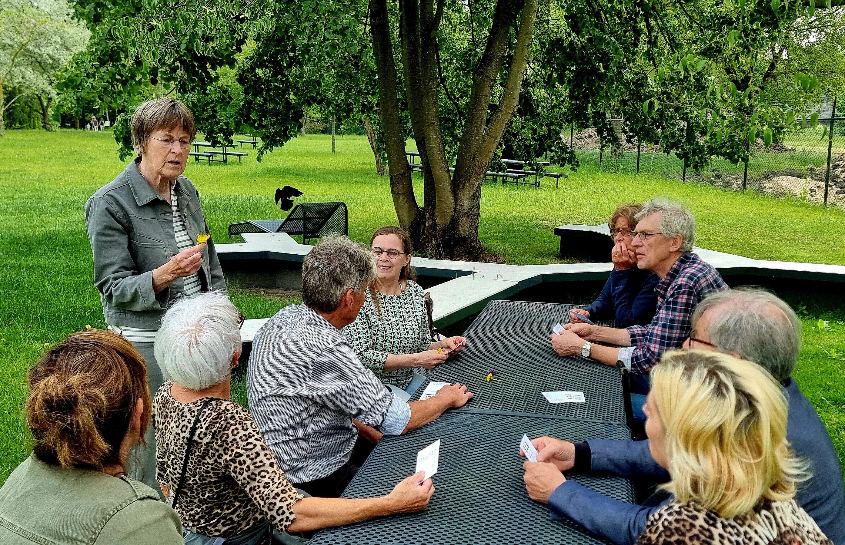 We leren verschillende soorten hommels en planten herkennen.