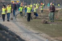 Bomen planten