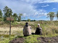 Zonder water geen honing, met water meer biodiversiteit