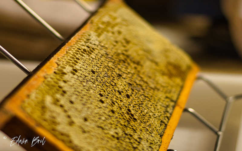 @brilinfocus-09-21-2025-04