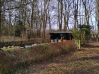 IMG-20220312-WA0031_5D020E81 