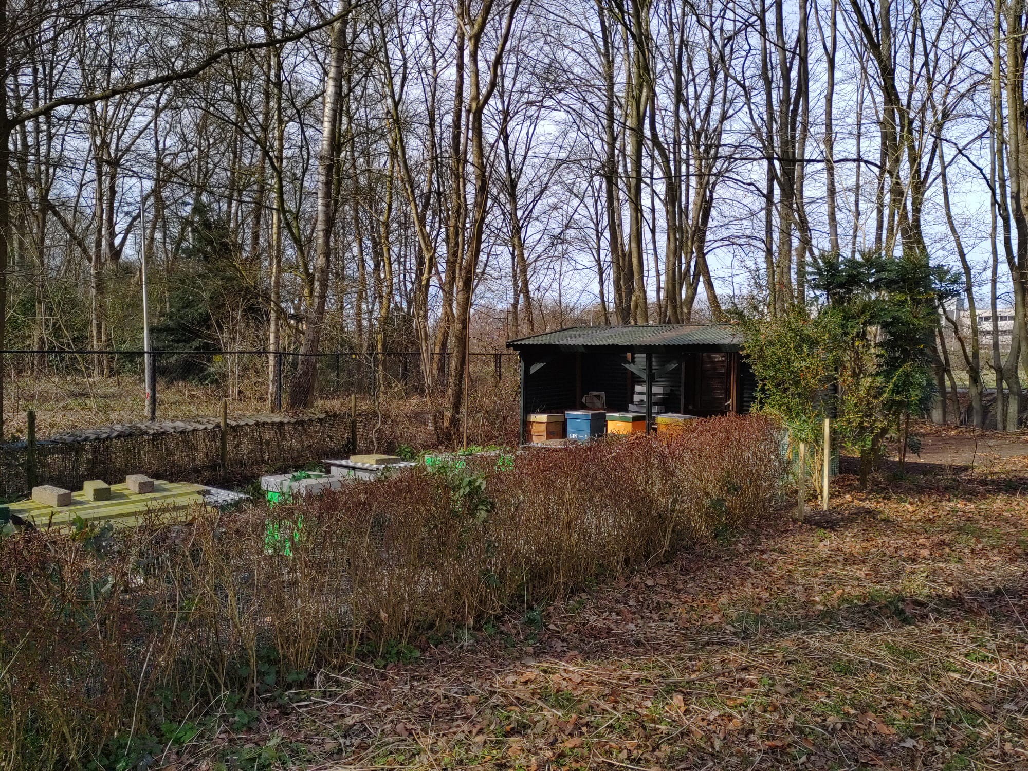 IMG-20220312-WA0031_5D020E81