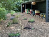 IMG-20220715-WA0005_5D011181 