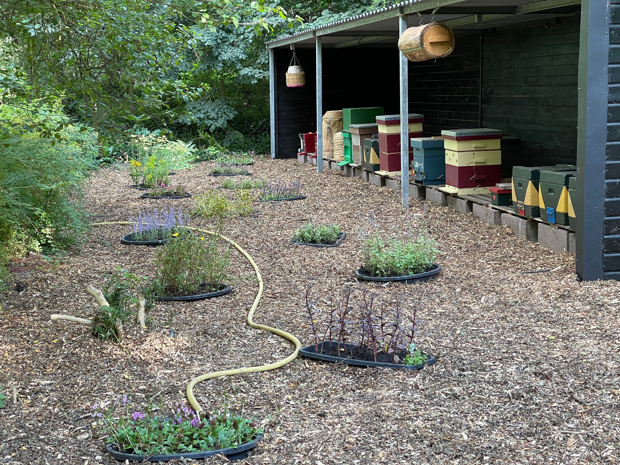 IMG-20220715-WA0005_5D011181