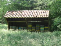 bijienhal