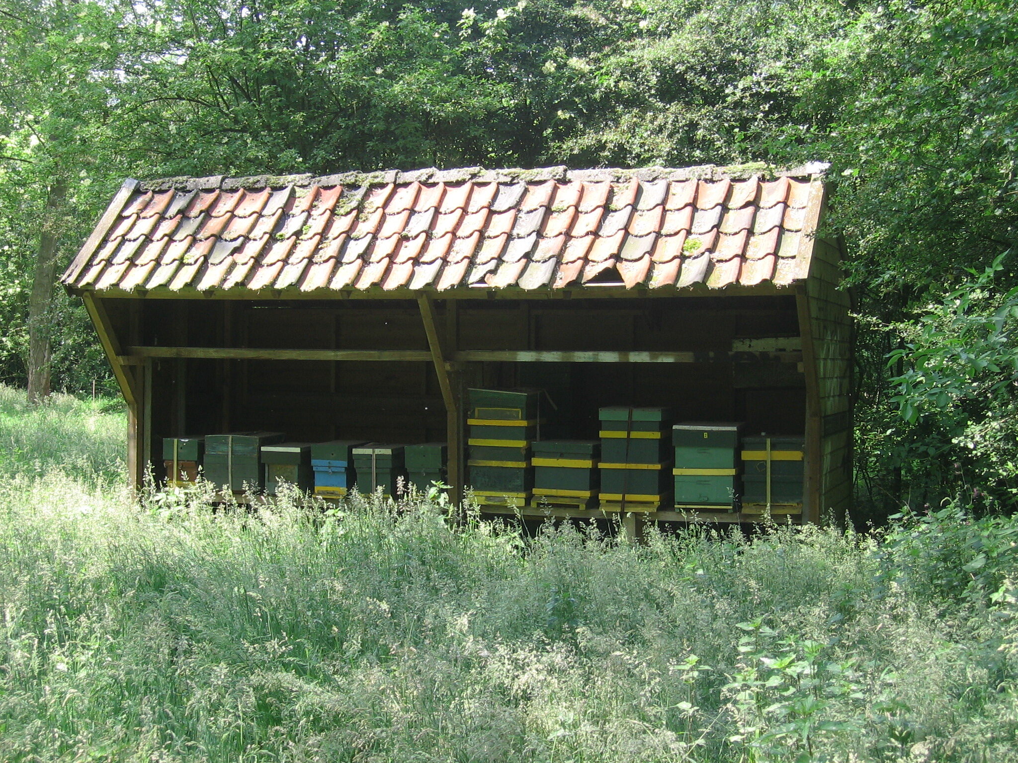 Geerbos (1)
