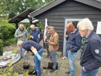 Oxaalzuurstrips maken