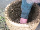 img-0250