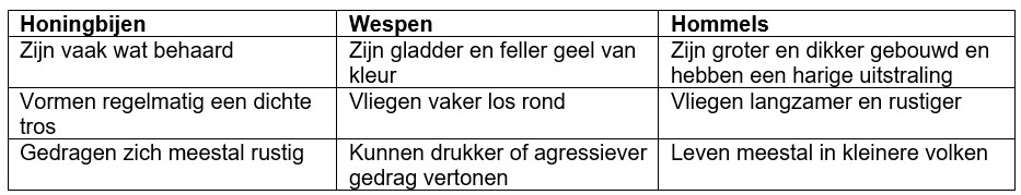 Tabel vrgelijking bijen