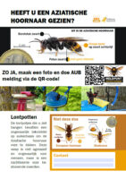flyer lokpot 