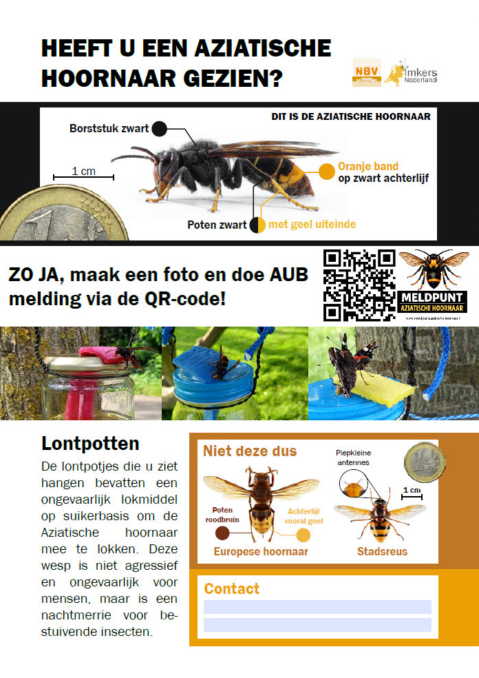 flyer lokpot