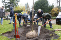 201124-boomfeestdag-laren-01 