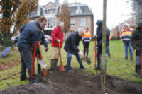 201124-boomfeestdag-laren-07 