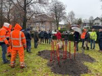 Planten jubileumboom – 20/11/24