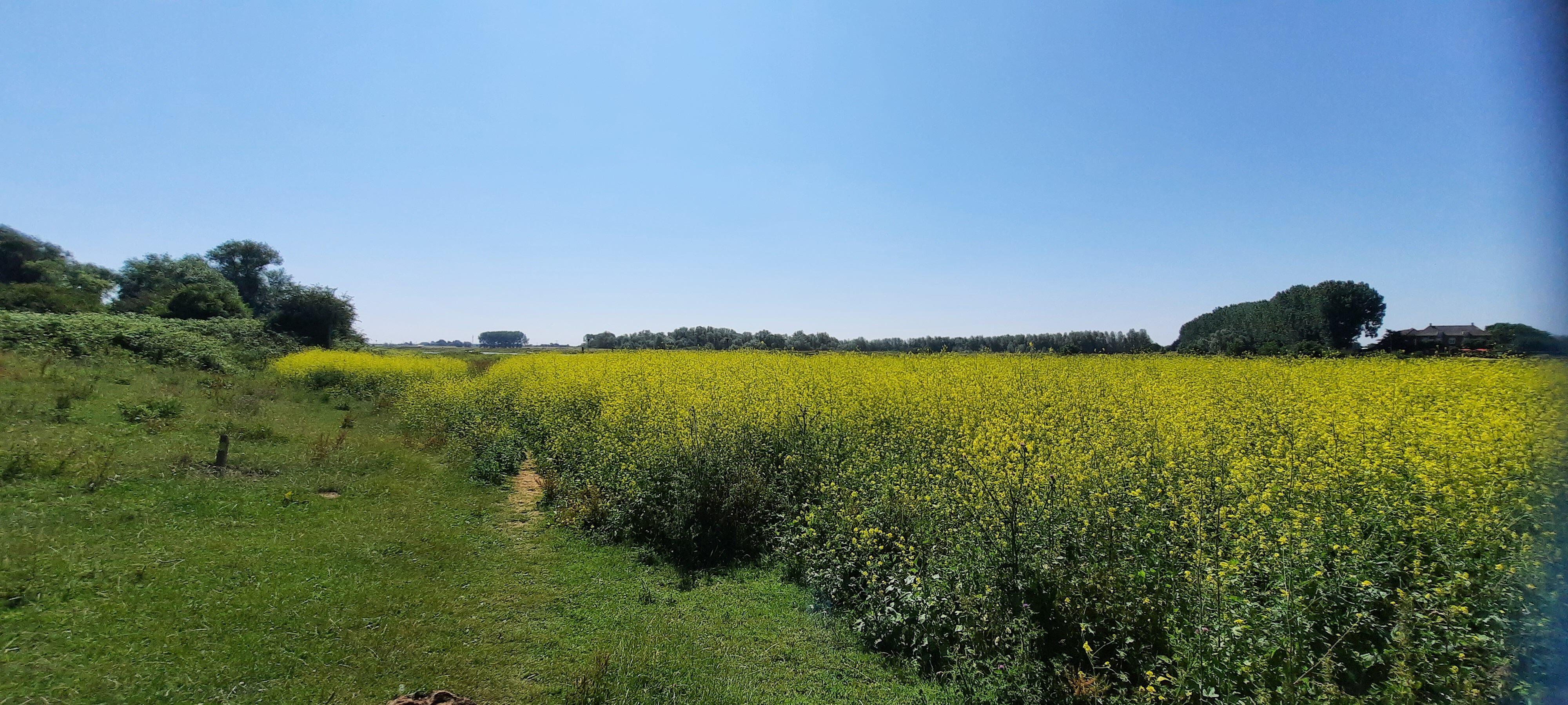 20230625_113153 – kopie