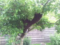 20160517_134626 