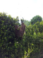 20160519_152256 